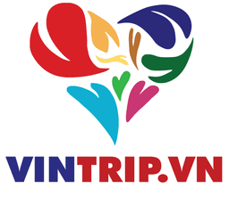 LOGO VINTRIP